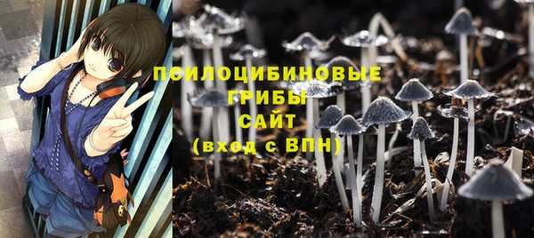 дмт Аркадак