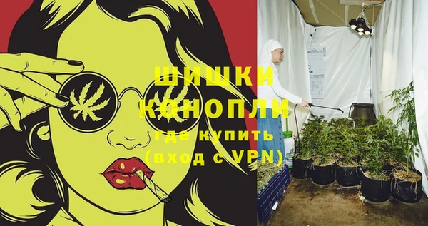 дмт Аркадак
