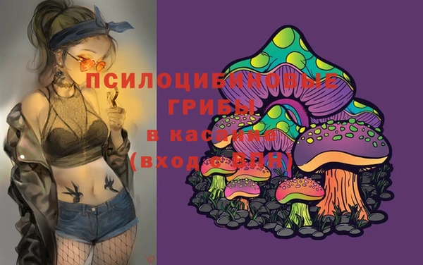 Альфа ПВП Армянск