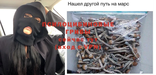 дмт Аркадак