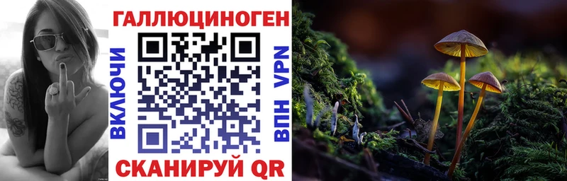 купить наркотики сайты  Бавлы  Псилоцибиновые грибы GOLDEN TEACHER 